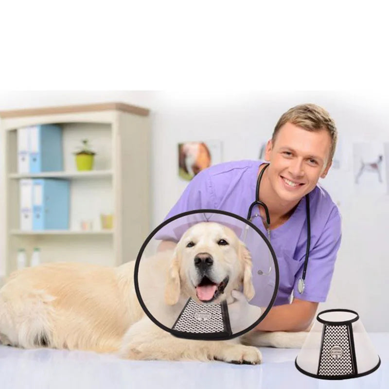 Prevent Bite Transparent Pet Protection Collar – Wound Healing & Grooming Aid