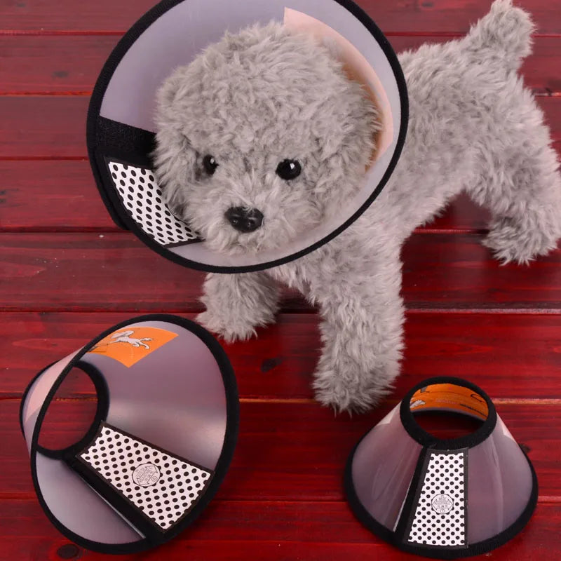 Prevent Bite Transparent Pet Protection Collar – Wound Healing & Grooming Aid