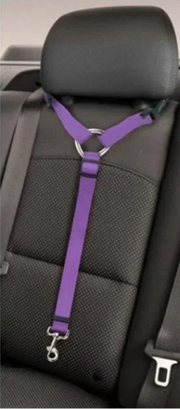 Solid Color Two-in-One Pet Car Seat Belt and Leash – Adjustable Nylon Safety Harness for Dogs, Backseat Pet Accessories