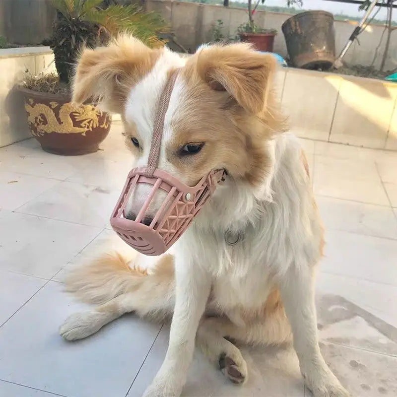 Upgraded Adjustable Dog Muzzle – Strong Plastic Basket Design | 7 Sizes | Anti-Biting