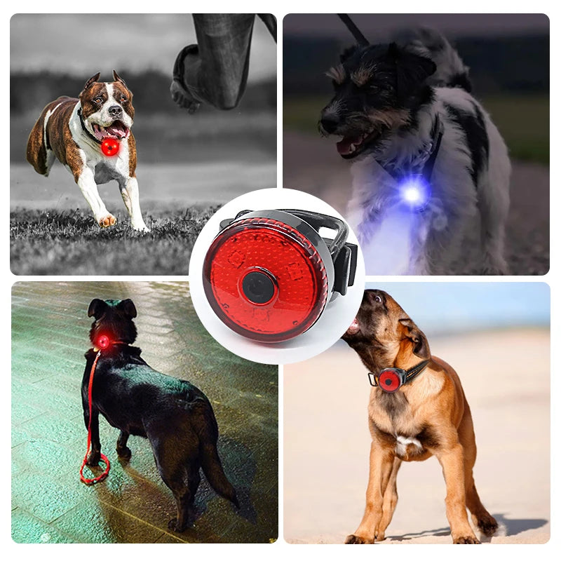 LED Light Dog Collar - USB Rechargeable Night Walking Safety Glowing Pendant for Pets, 3 Flashlight Modes